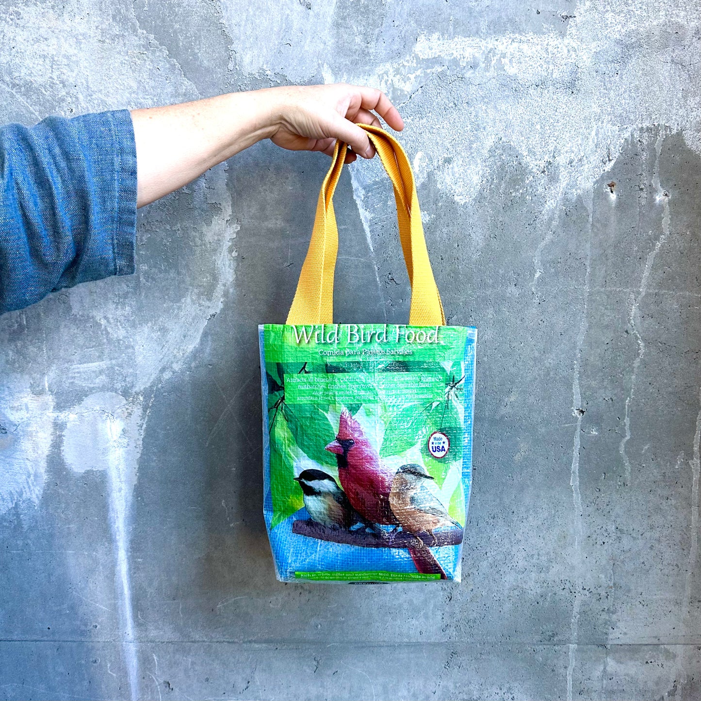 Upcycled Tote Bags | Dr. Laura