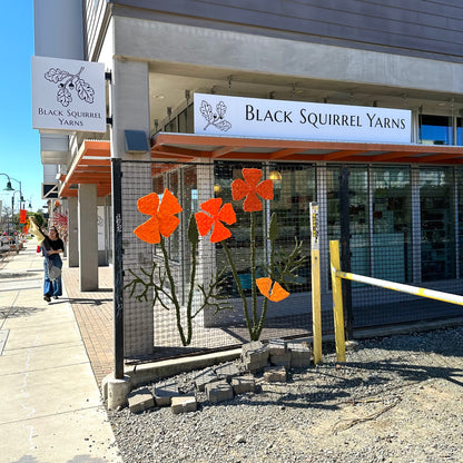 Happening at the Squirrel! Yarn Crawl March 13-22, 2026