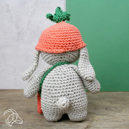 Frank Rabbit Crochet Amigurumi Kit
