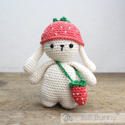 Ilse Rabbit Crochet Amigurumi Kit