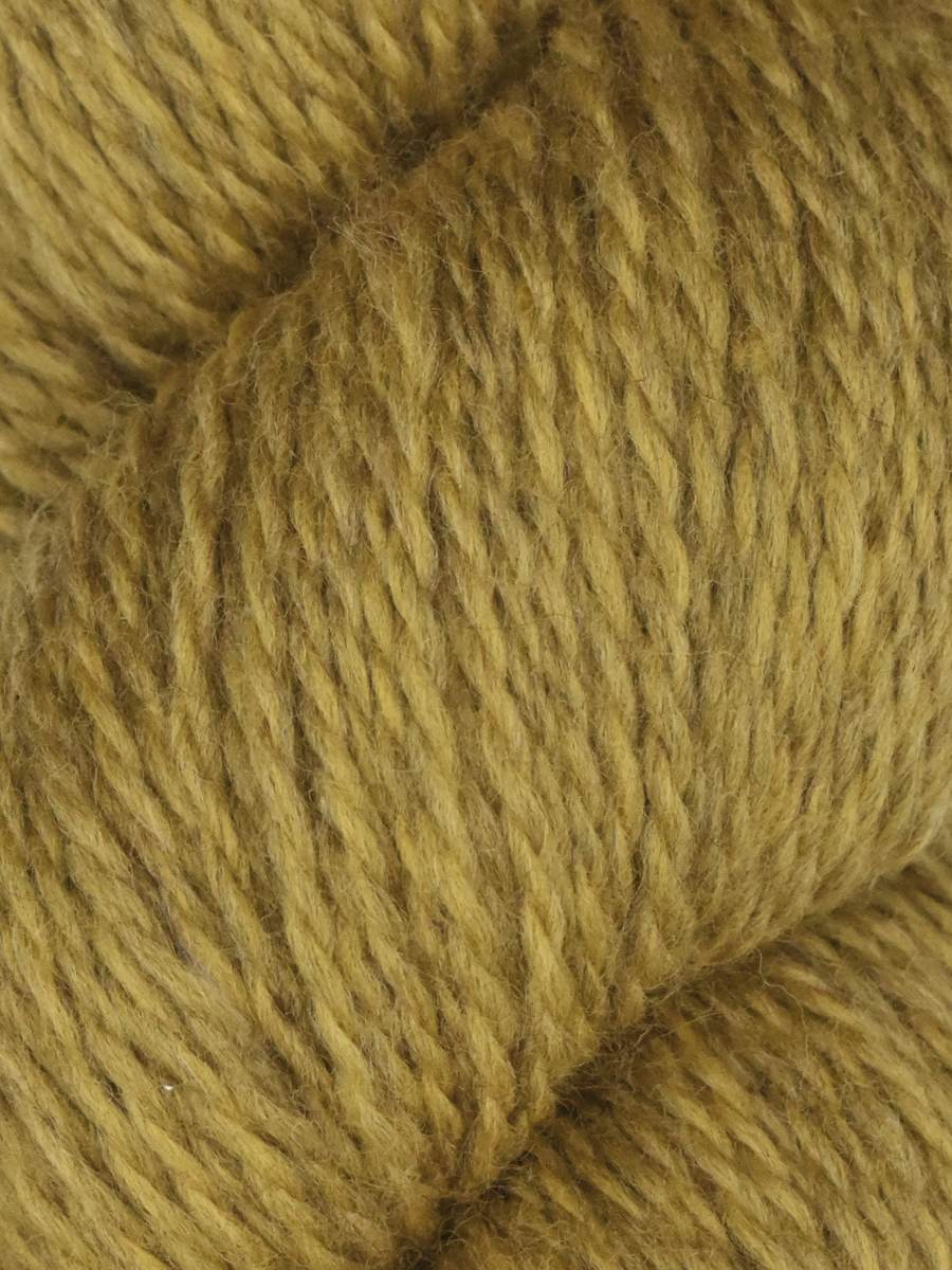 Rambouillet DK | Juniper Moon