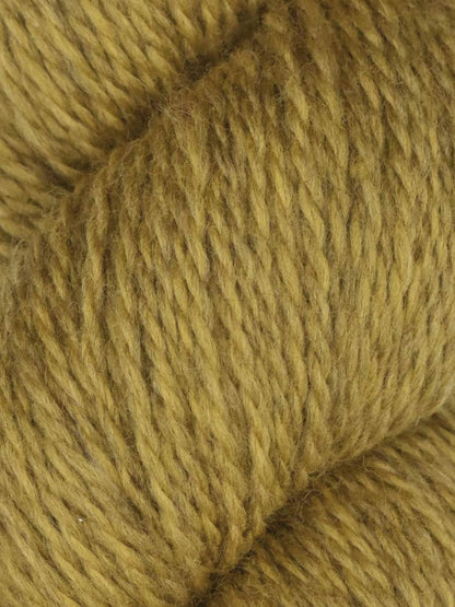 Rambouillet DK | Juniper Moon
