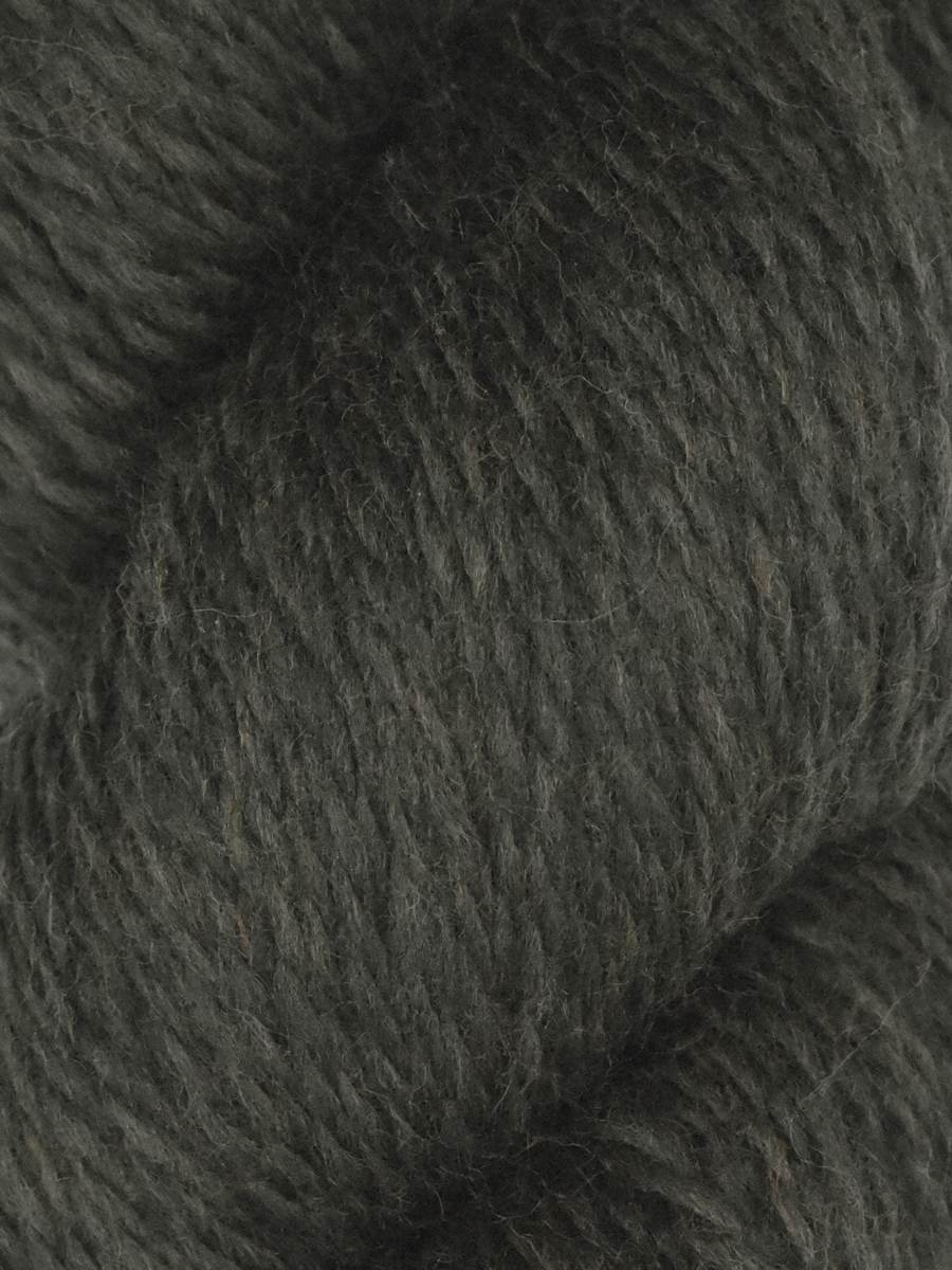 Rambouillet DK | Juniper Moon