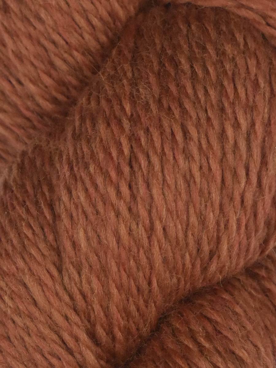 Rambouillet DK | Juniper Moon