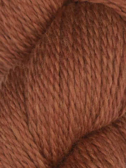 Rambouillet DK | Juniper Moon