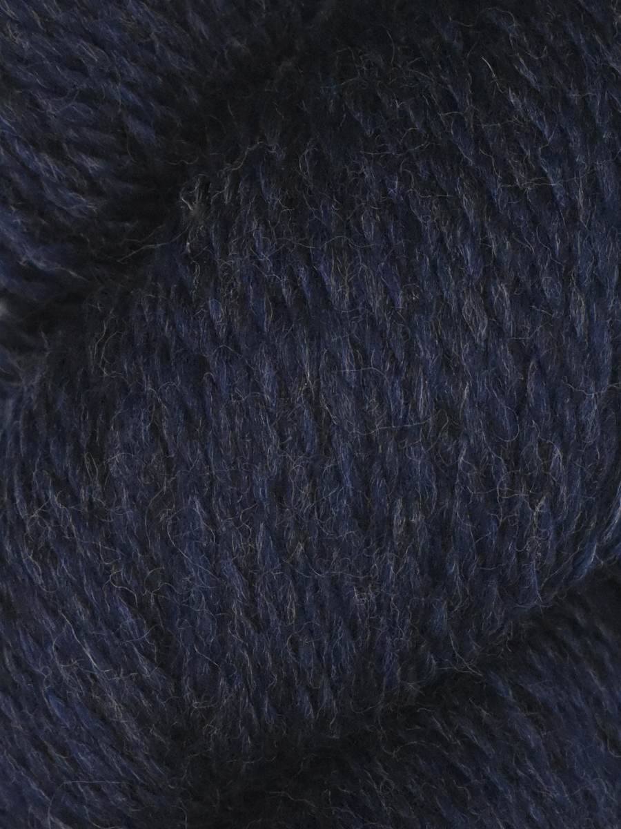 Rambouillet DK | Juniper Moon