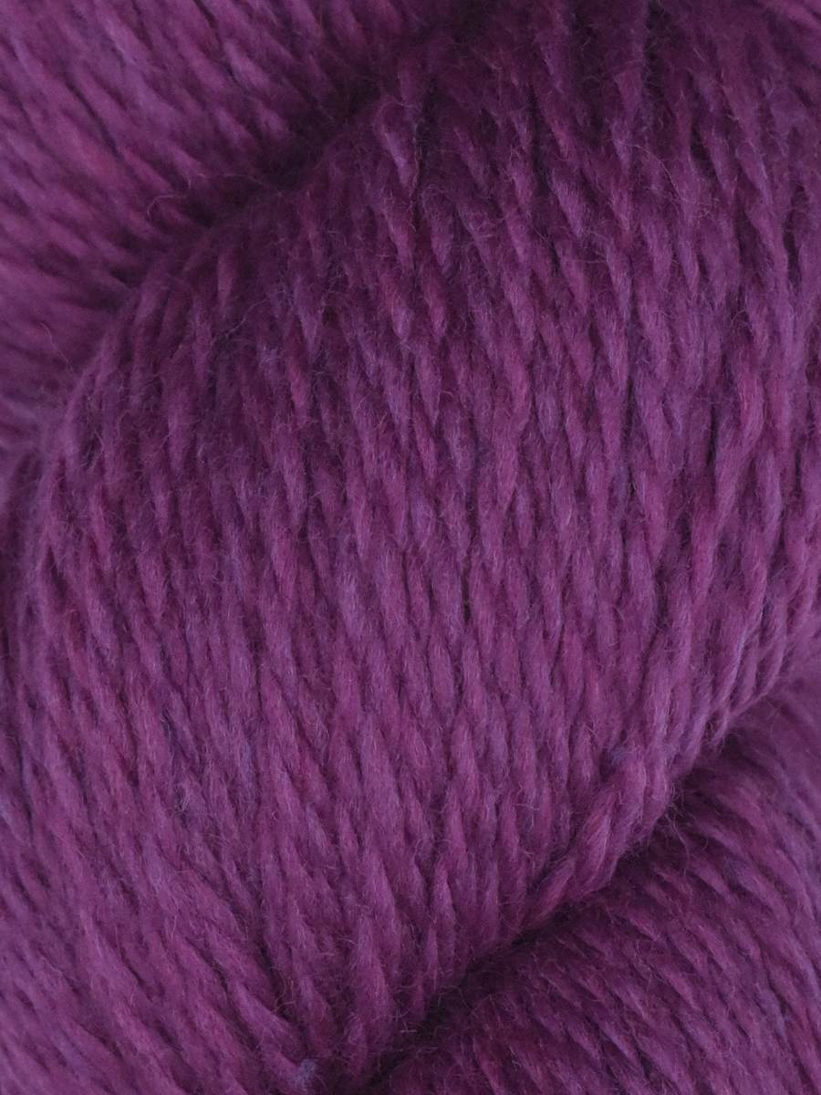 Rambouillet DK | Juniper Moon