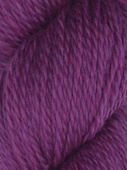 Rambouillet DK | Juniper Moon