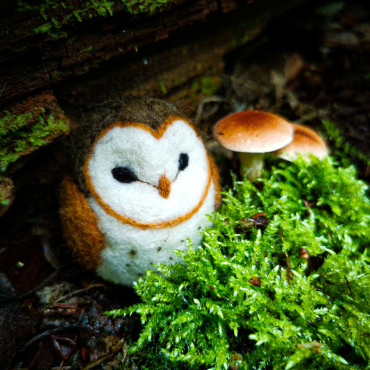 Barn Owl Needle Felting Kit | Agna Wool Art