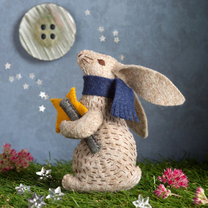 Professor Hare Stargazer Kit | Corinne Lapierre