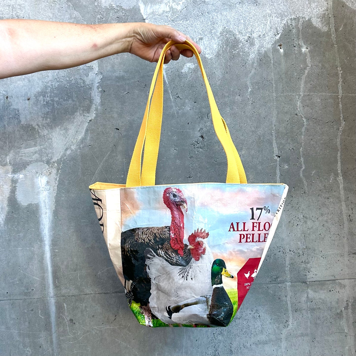 Upcycled Tote Bags | Dr. Laura