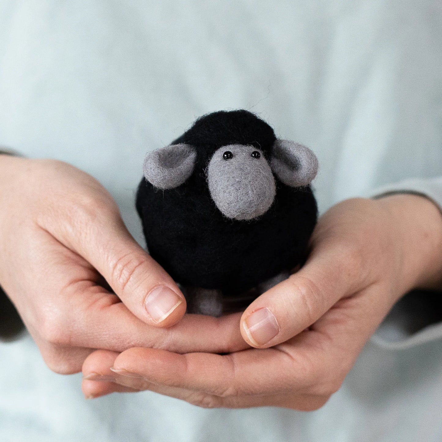 Black Sheep Mini Needle Felting Kit