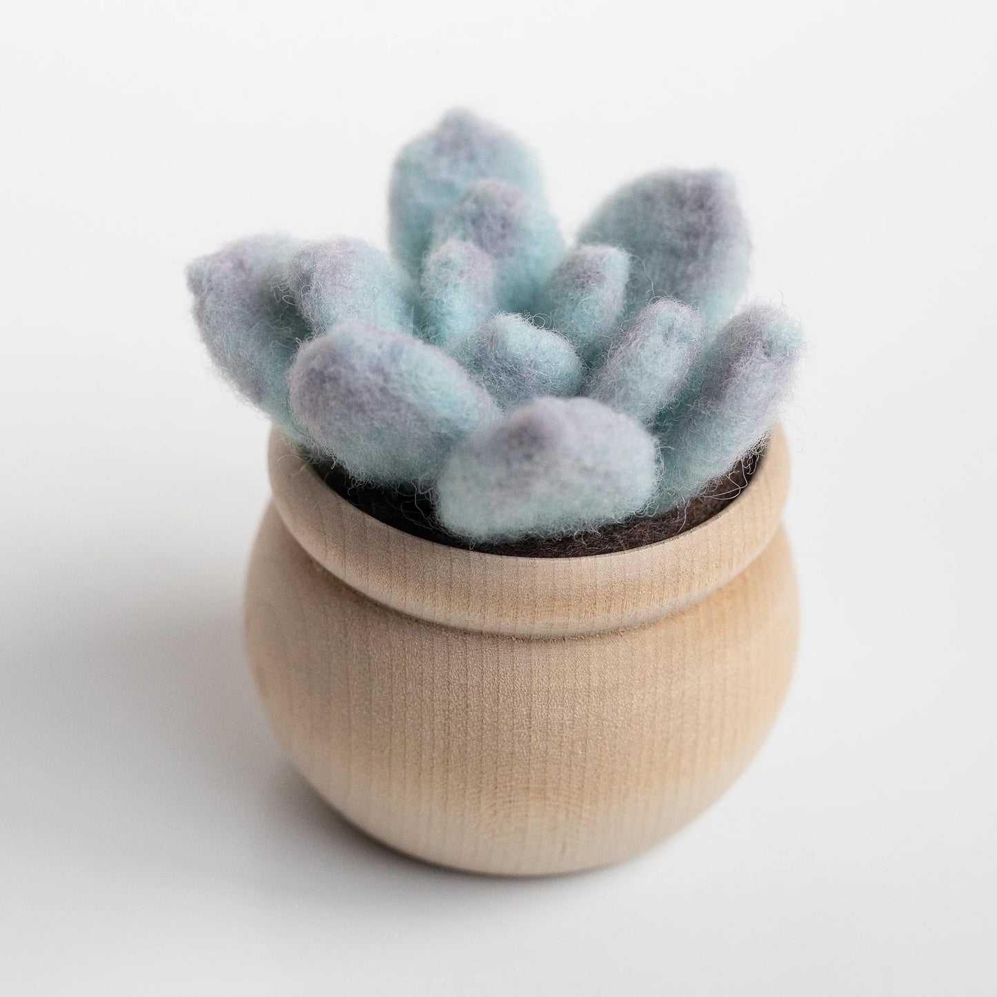 Ghost Plant Succulent Mini Needle Felting Kit