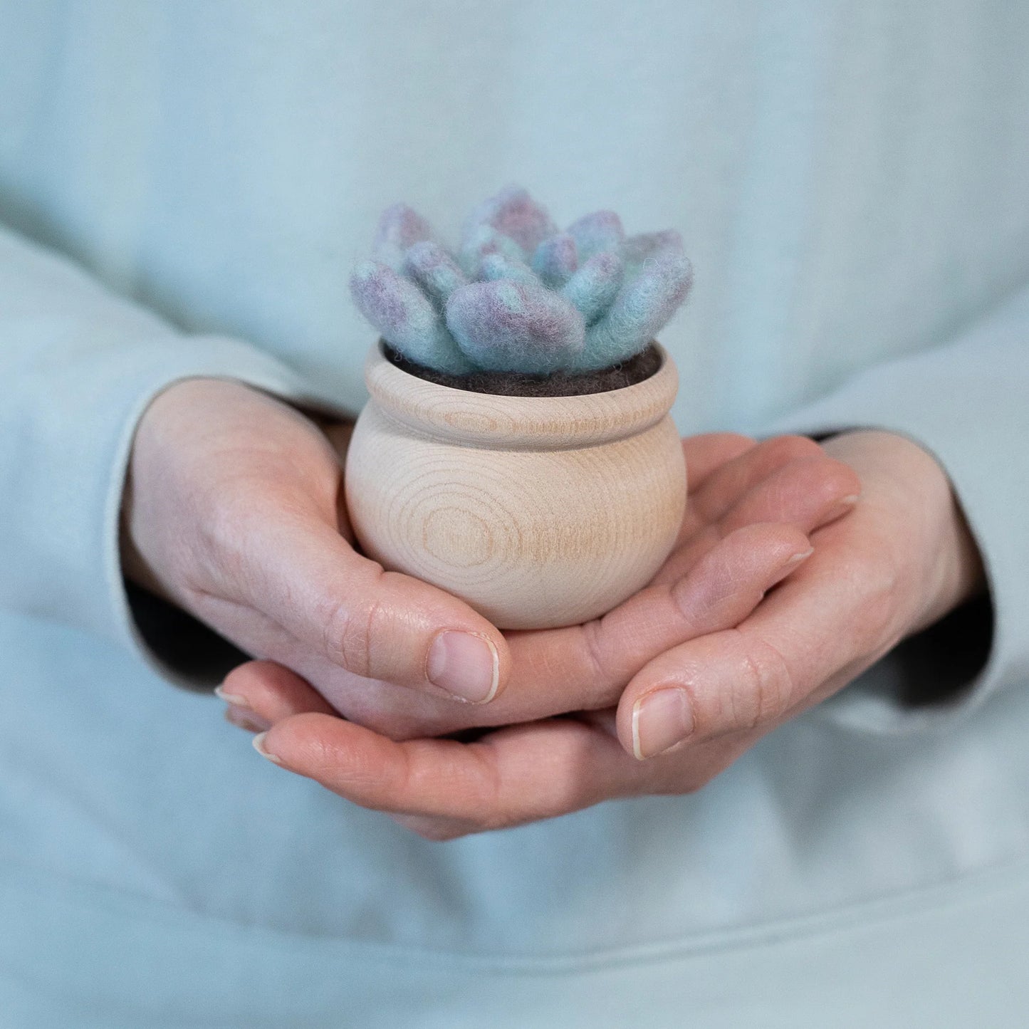 Ghost Plant Succulent Mini Needle Felting Kit