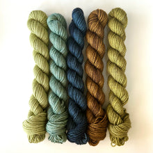 Load image into Gallery viewer, Mini Skeins - Golden Sheep Fibers
