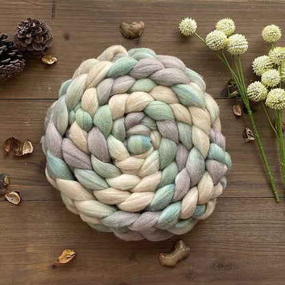 Polwarth Spinning Fiber | 316 Dye Studio
