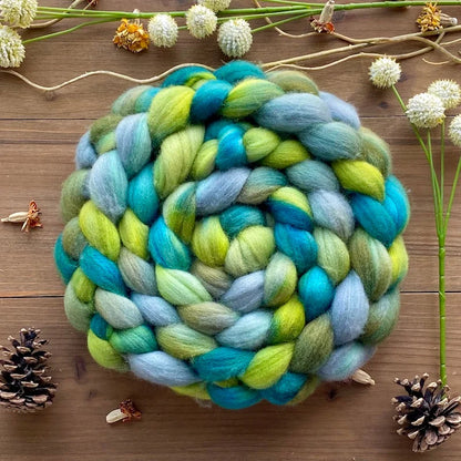 Polwarth Spinning Fiber | 316 Dye Studio