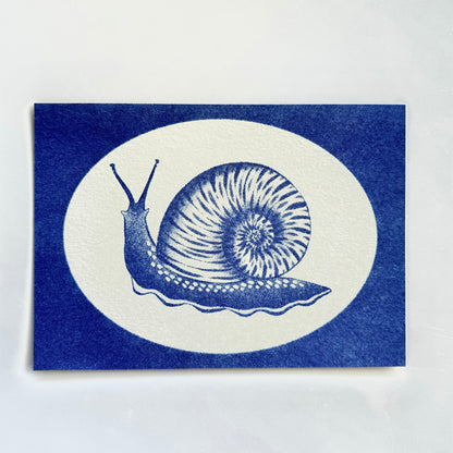 Risograph Prints | Dormouse Press