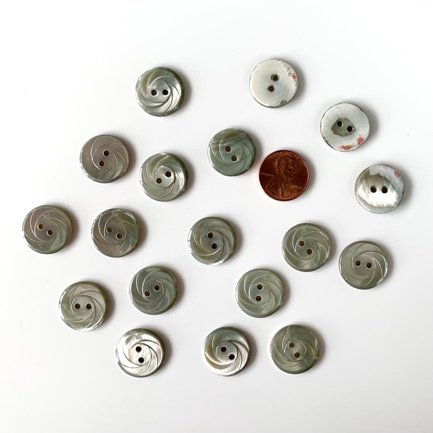Shell Buttons - 5/8 to 7/8 inch
