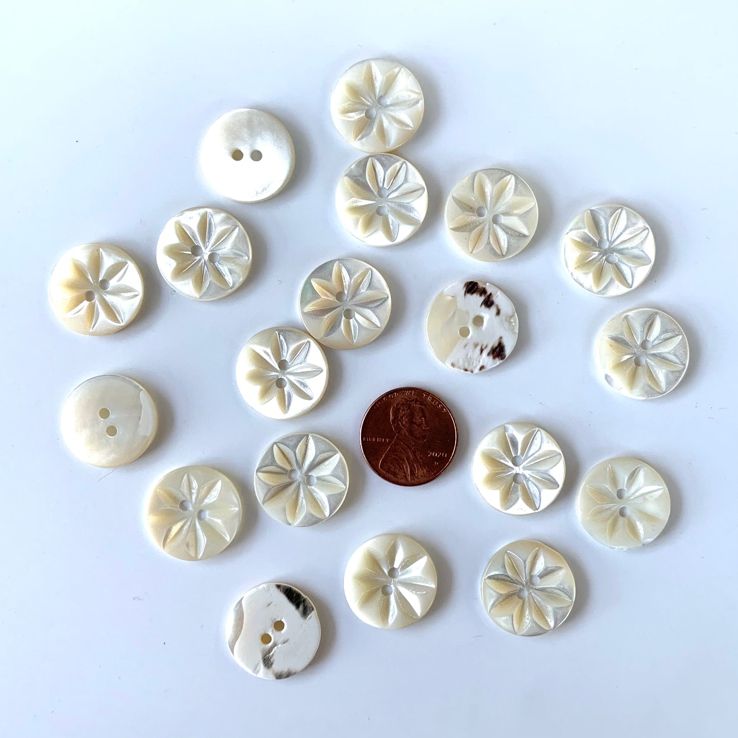 Shell Buttons - 5/8 to 7/8 inch
