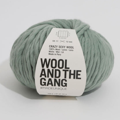 Crazy Sexy Wool Super Bulky - Wool and the Gang