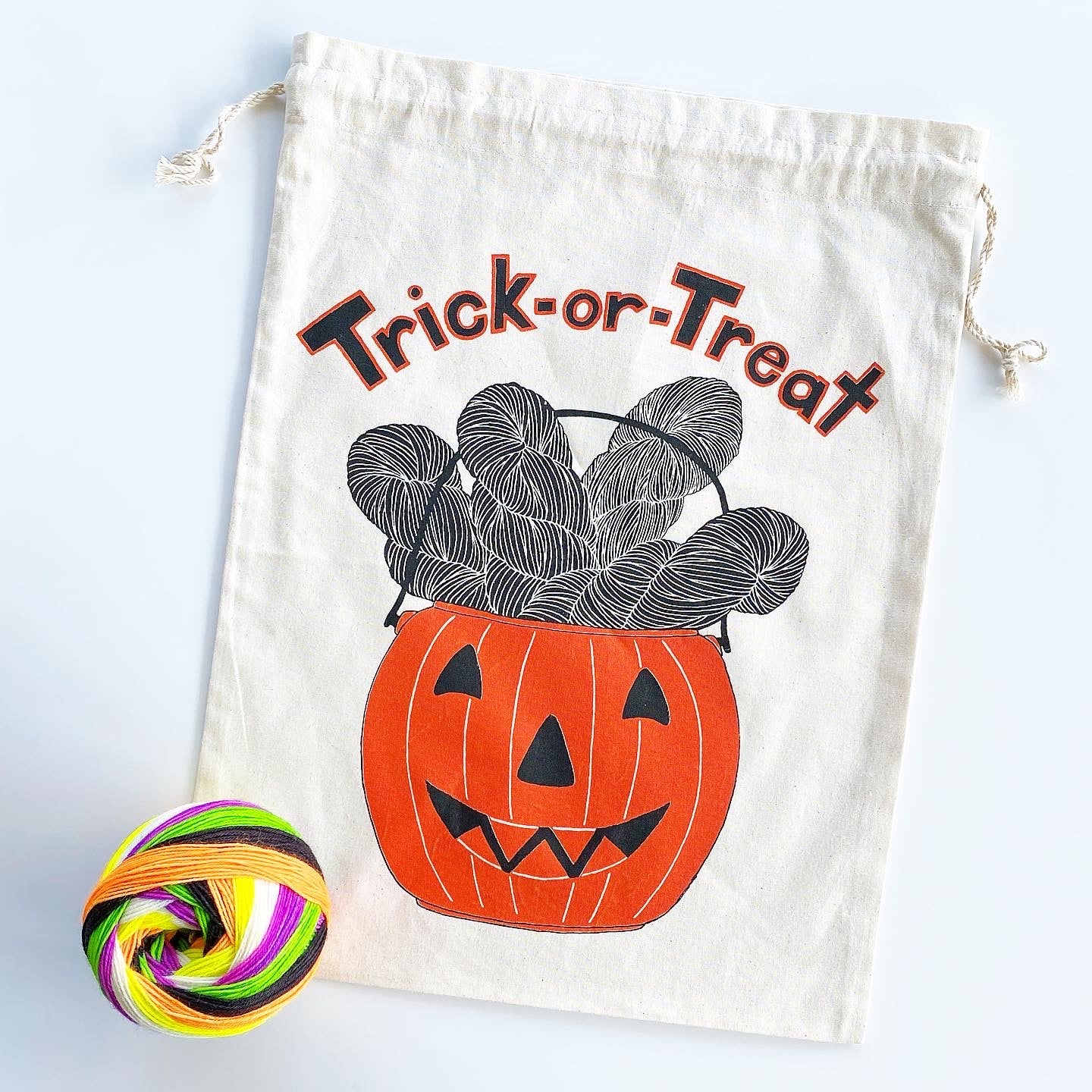 Trick-or-Treat Project Bag