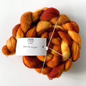 Targhee Wool Spinning Fiber - Nerdy Fibers